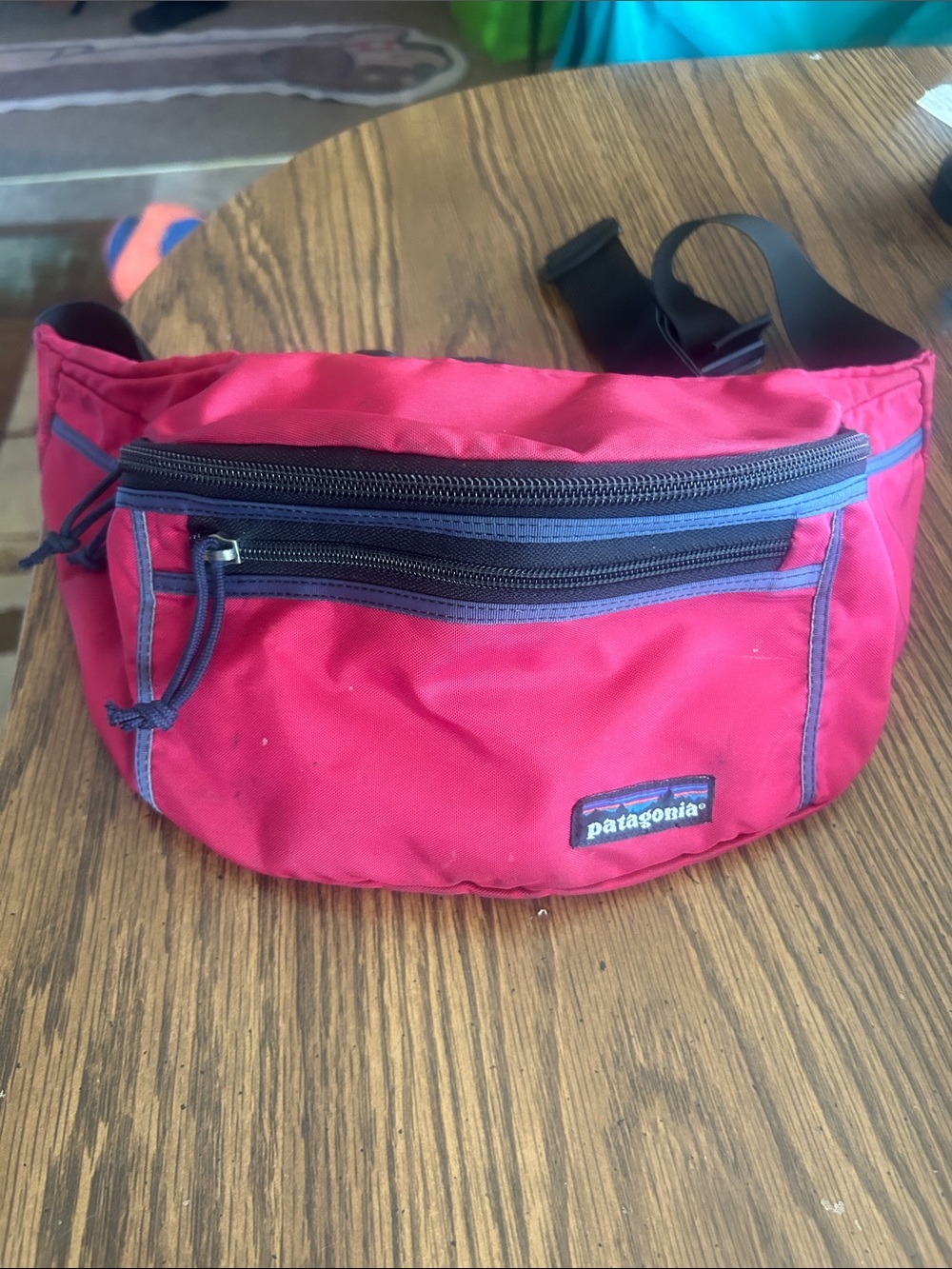 Patagonia Fanny Pack